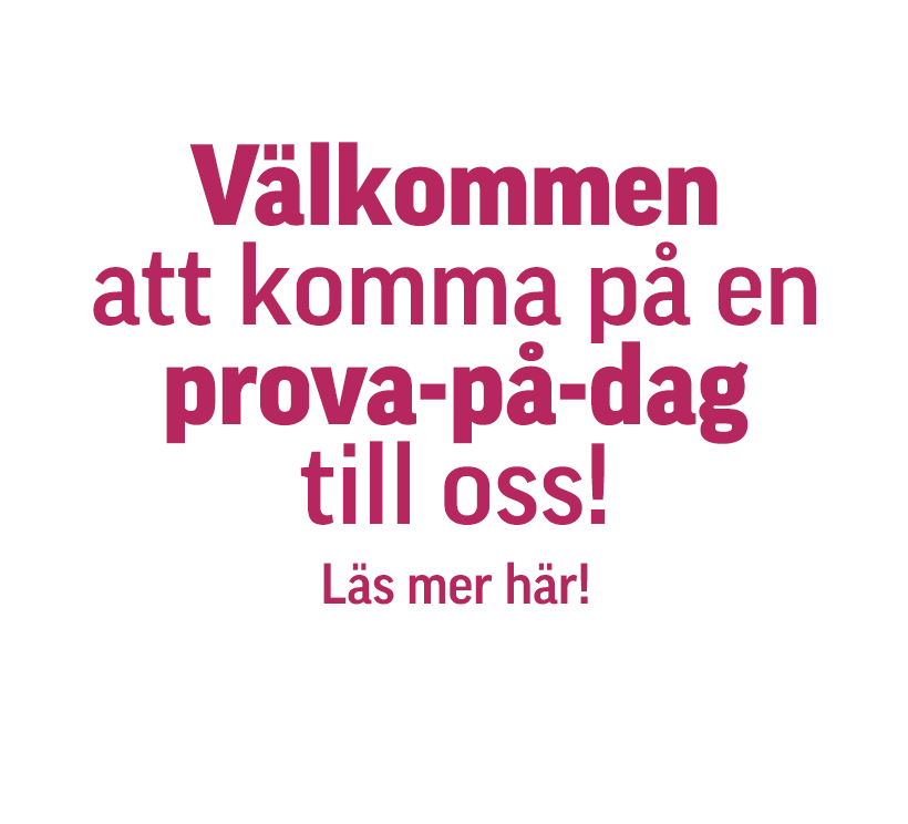 Välkommen att koppa på en prova-på-dag till oss! Läs mer här!